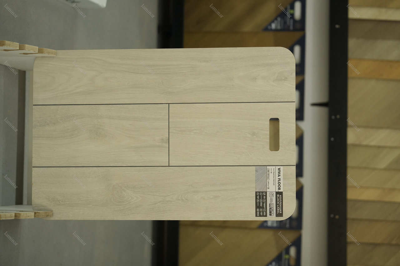 Хьюстон Светлый